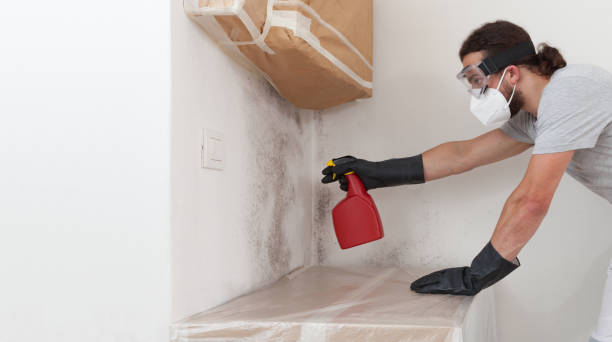 Professional Crawl Space Mold Remediation technician working in Deerfield, MI